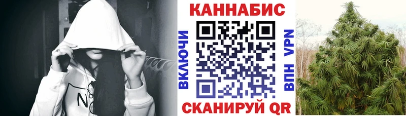Бошки марихуана ГИДРОПОН  мега как зайти  Верхний Тагил 